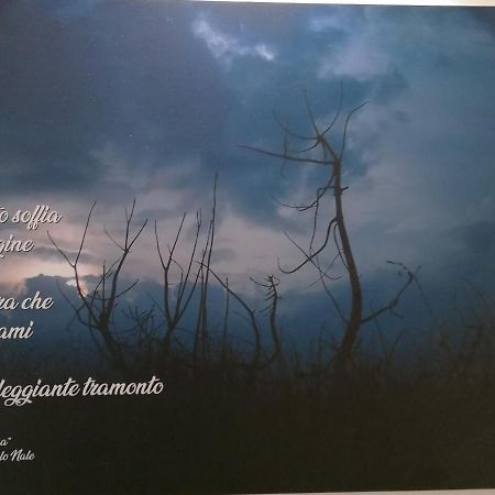 קיוג'ה Verdepoesia מראה חיצוני תמונה